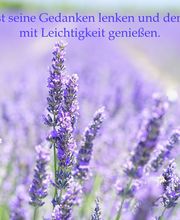 Wie die Gedankenkraft sich auf Körper, Geist und Seele auswirkt.