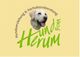 Ein Hundekopf in einem Logo für Hundetraining und Verhaltensberatung namens "Hund Herum".