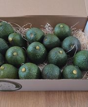 Caja abierta con 16 aguacates sobre paja en un suelo de madera.