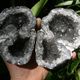 Hand houdt een geopende geode met kristallen vast, op de achtergrond groene bladeren.