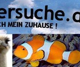 Hier auf meine-tiersuche.de werden Tiere erfolgreich verkauft !