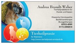 Visitenkarte einer Tierheilpraxis mit Hund, Katze und Kontaktinformationen.