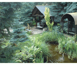 Garten mit Teich