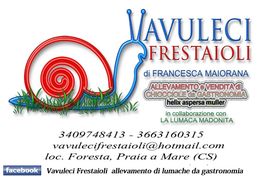 Logo di Vavuleci Frestaioli con disegno di lumaca e contatti per l'allevamento di lumache.