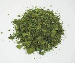 Moringa Bio Blättertee aus Teneriffa