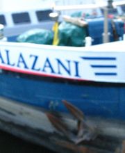 Binnenschifffahrt - Schöner Bug - stolzes Schiff
