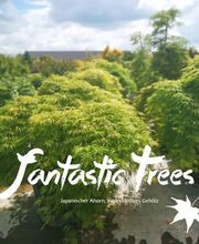 Fantastic Trees Logo