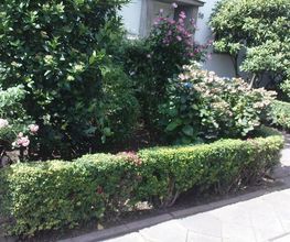 Gartenpflege