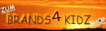 Banner mit Text „ZUM BRANDS4KIDZ SHOP“, Hintergrund mit Sonnenuntergang in Gelb-Orange.