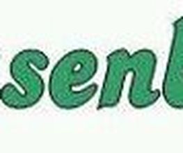 Pausenblitz Logo