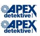 Zweimal das Logo der "APEX Detektive GmbH" in Blau mit einem spiralförmigen Symbol links.