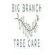Logo for Big Branch Tree Care with a branch and leaves illustration in green.