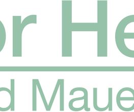 Viktor Herzen - Putz und Mauerarbeiten Logo