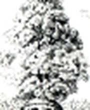 Lebendbau Götz Papke Logo