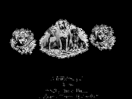 Vier Hunde, nebeneinander sitzend, in einem klassischen Logo-Stil.