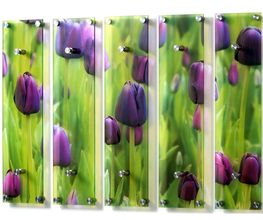 Acryl Garderobe Motiv Tulpen