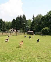Tagesstätte