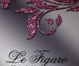 Le Figaro - Hair & Nail Studio Logo