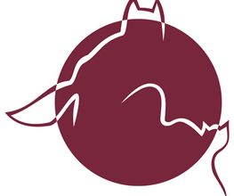 Kleintierpraxis Scherfling Meitingen Logo