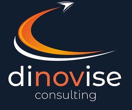 dinovise consulting Logo