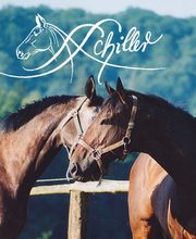 Mobile Tierheilpraxis Schiller Logo