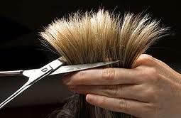 Eine Schere schneidet blondes Haar, das von einer Hand gehalten wird.