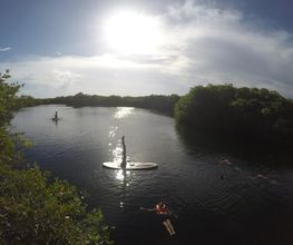 Personas hacen paddleboarding y nadan en un lago rodeado de vegetación, con el sol brillando.
