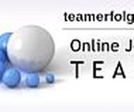 teamerfolg24 Logo