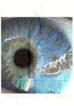 Nahaufnahme eines Auges, in dessen Iris ein Strand mit Palmen und einem Boot gespiegelt wird.