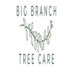 Logo for Big Branch Tree Care with a branch and leaves illustration in green.