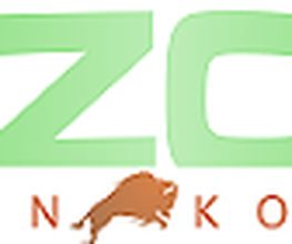 B-ZON Creative Internet Solutions Logo