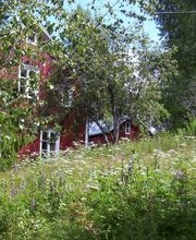 ferienhaus schweden winter und sommer vermietung