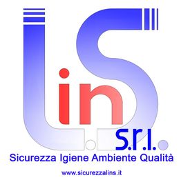 Logo Lins S.r.l. con testo "Sicurezza Igiene Ambiente Qualità" e sito www.sicurezzalins.it.