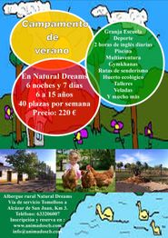 Cartel colorido de campamento de verano con actividades y contacto en Natural Dreams.