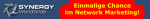 Blaues Logo "Synergy Solutions", roter Hintergrund mit gelber Schrift: "Einmalige Chance im Network Marketing".