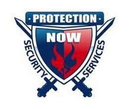 ACTION SECURITY Logo