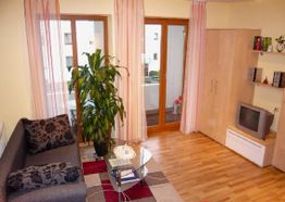 Helles Wohnzimmer mit grauem Sofa, Pflanze, Fernseher und Glas-Couchtisch auf Holzboden.