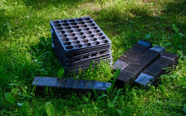 EU-Verpackungsverordnung: Transporttrays