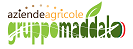 Logo di "Aziende Agricole Gruppo Maddalo" con testo colorato e foglia verde.