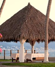 Palapa frente al mar con palmeras y mesa, flores en primer plano, ciudad al fondo.