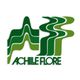 Logo astratto verde con linee ondulate e testo "Achille Flore".