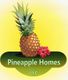Pineapple logo with text "Pineapple Homes LLC" on a green and yellow gradient background.