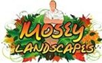 Illustrated logo for "Mosey Landscapes" with colorful leaves and person in the background.
