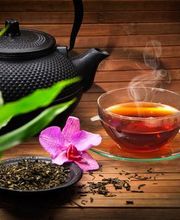 TEELÄDLE Tee-Versand Logo