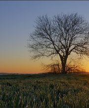 Wir setzen Ihre Vorlagen um.....
