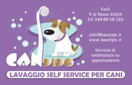 Cane sotto doccia con testo "Lavaggio self service per cani" e dettagli di contatto a Forlì.