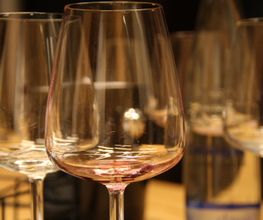 Wein genießen und verstehen