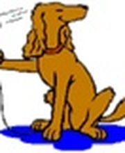 Hundefriseur-Hundesalon-Dülmen Logo