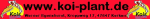 Roter Banner mit Koi-Logos, Website "www.koi-plant.de" und Adresse in Gelb und Schwarz.