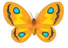 Bunter Schmetterling mit leuchtend orange-gelben Flügeln und blauen Augenflecken auf weißem Hintergrund.
